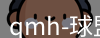 qmh球盟会
